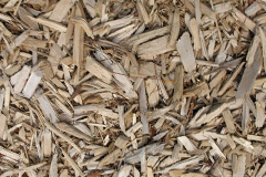 biomass boilers Heglibister